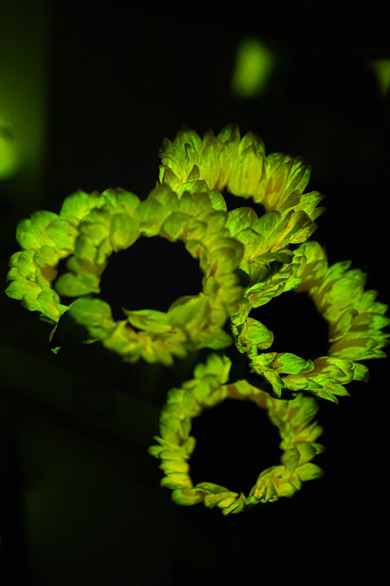 暗光照片 (55).jpg