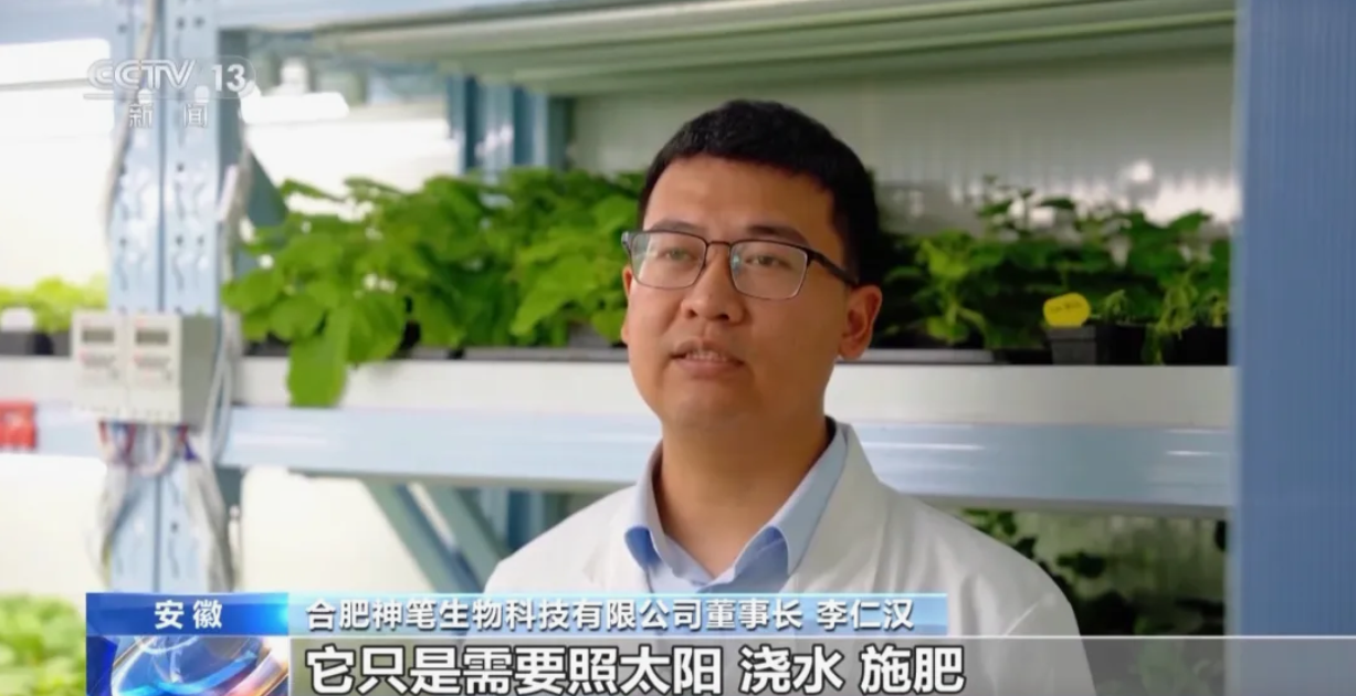 这不是科幻片！植物也能当“小夜灯”