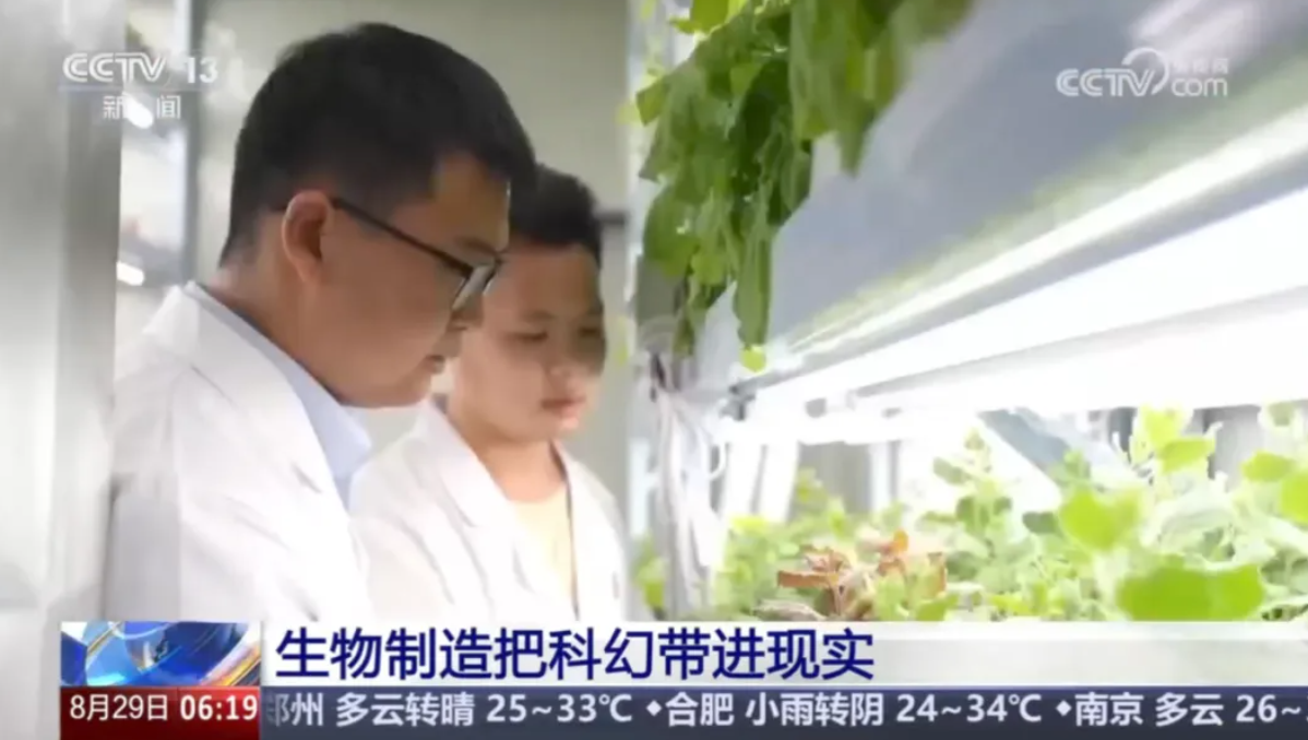 神笔生物：国内首颗高亮度自主发光植物亮相央视新闻