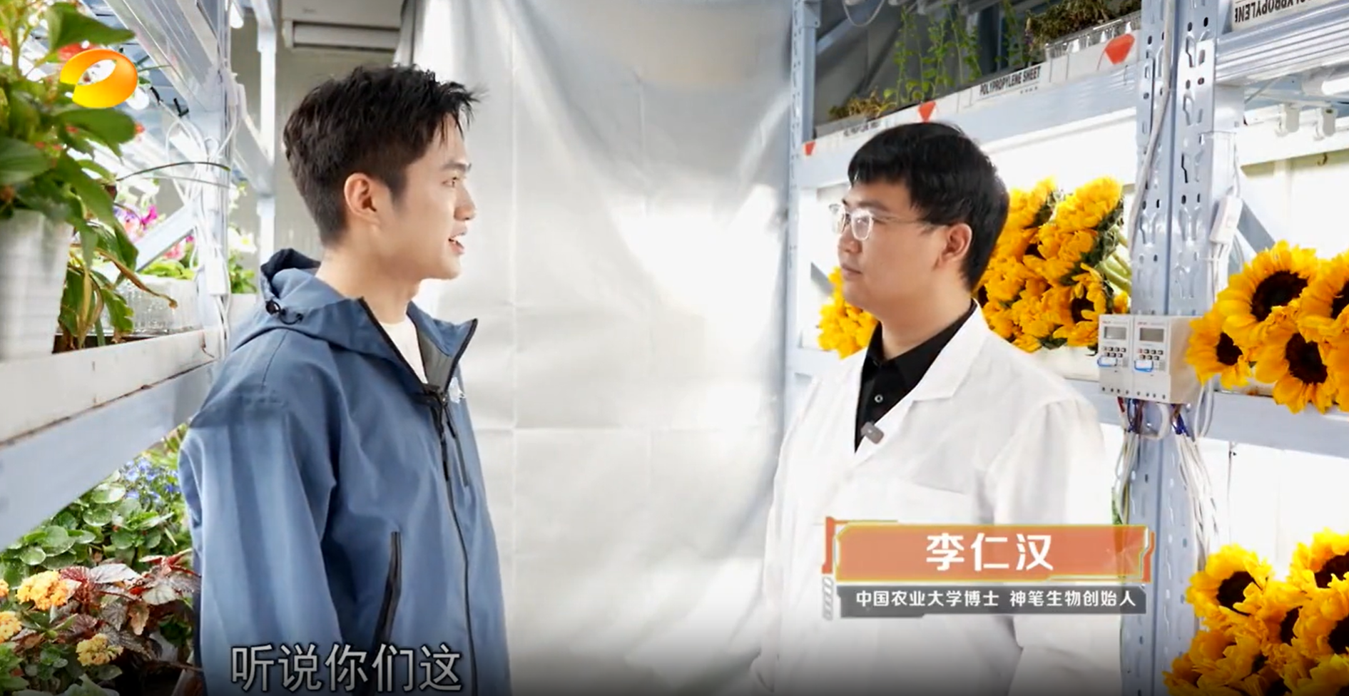 湖南卫视《新闻大求真》探秘神笔生物！夜光向日葵点亮科学奇迹