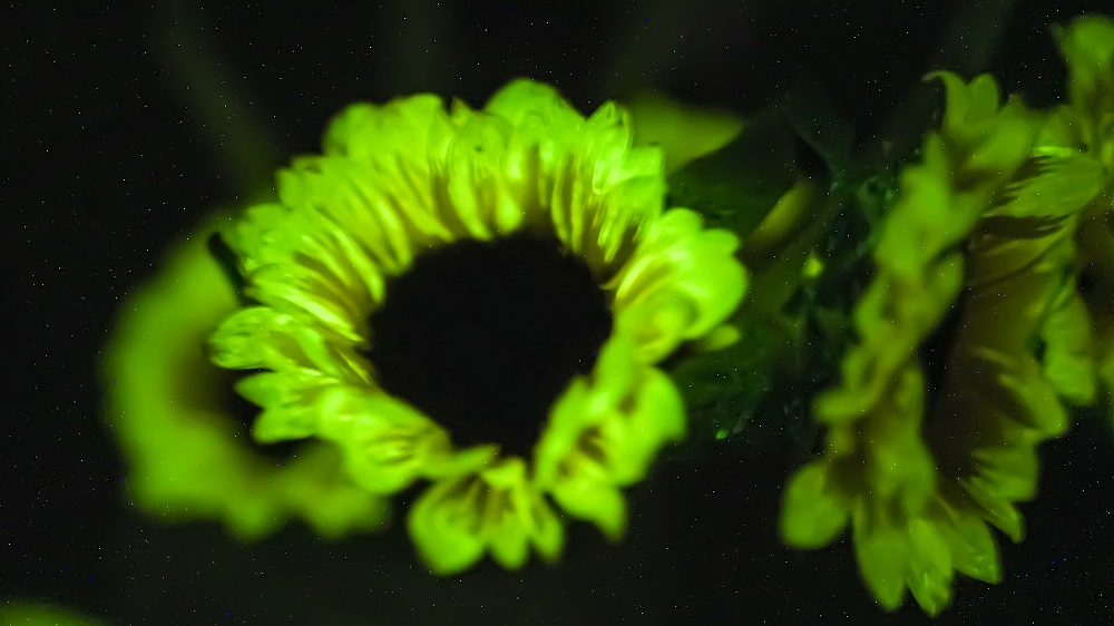 暗光照片 (59).jpg