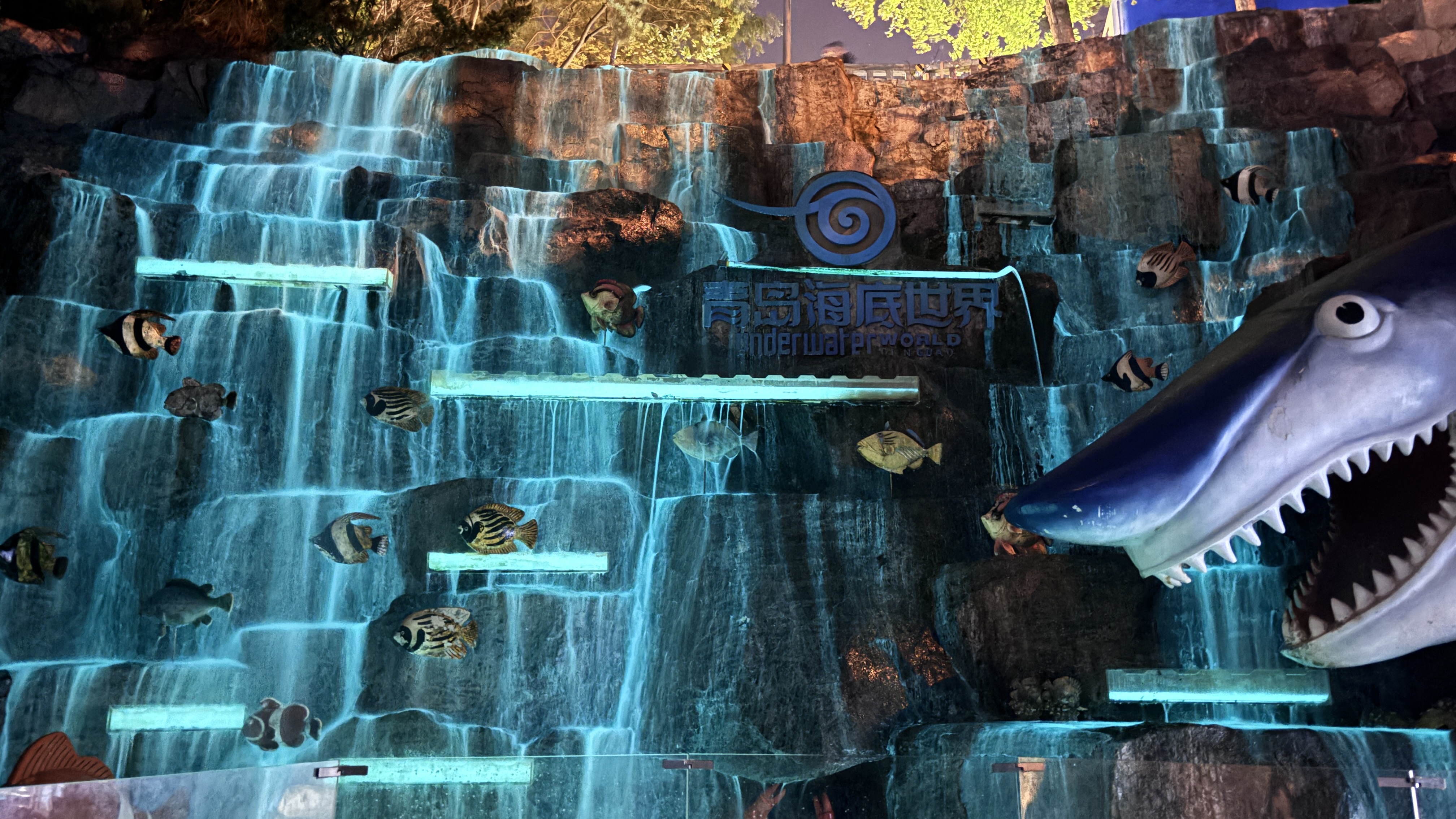 神笔生物出品 | 青岛海底世界 邂逅“荧光星河瀑布 ”