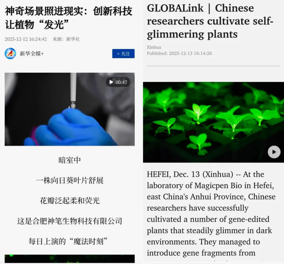 新华社全球报道 神笔生物技术成果蜚声海外