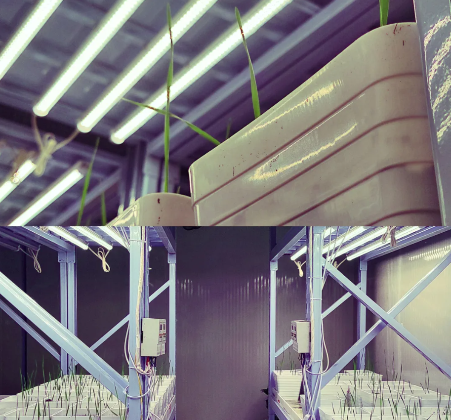 神笔生物全年候智能气候室正式运营