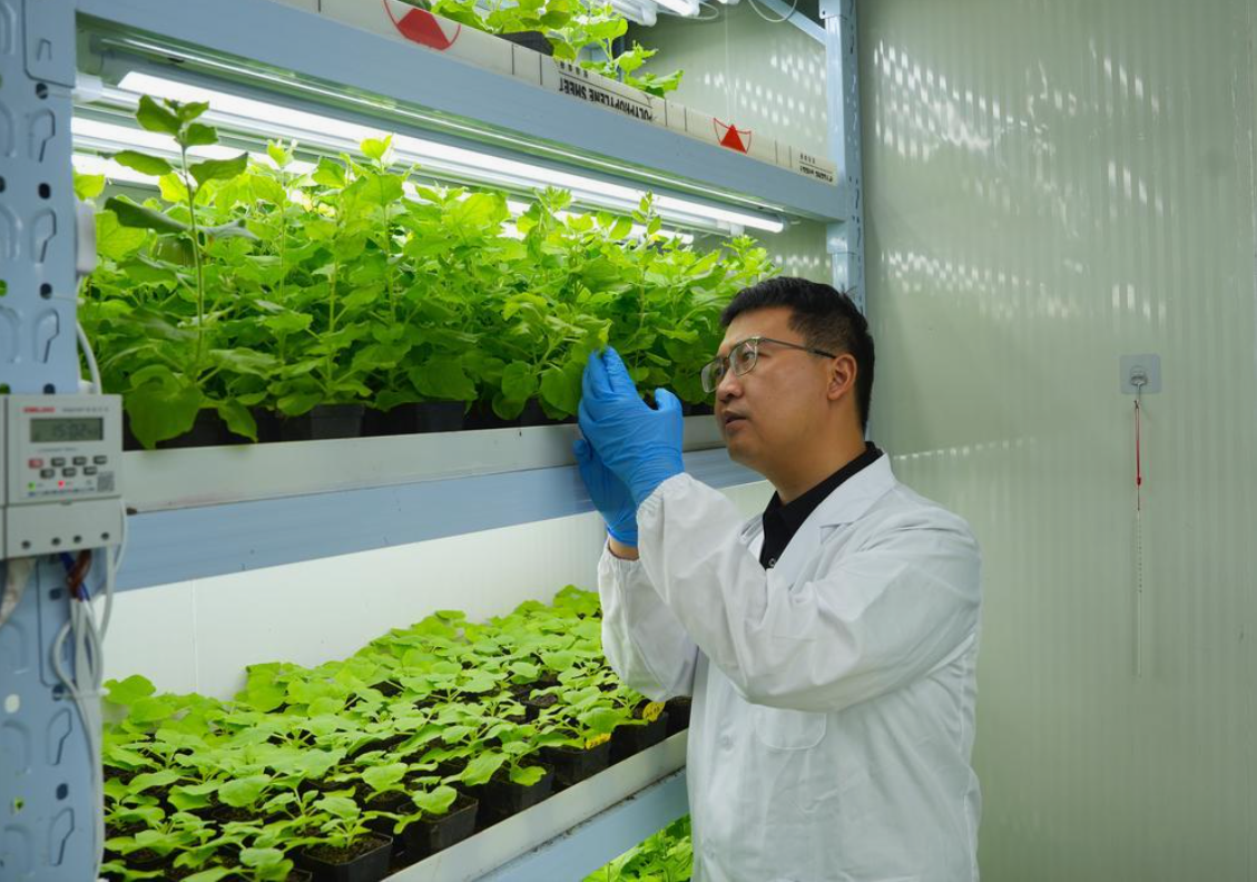 高质量发展调研行丨科大硅谷奏起科创“交响乐”