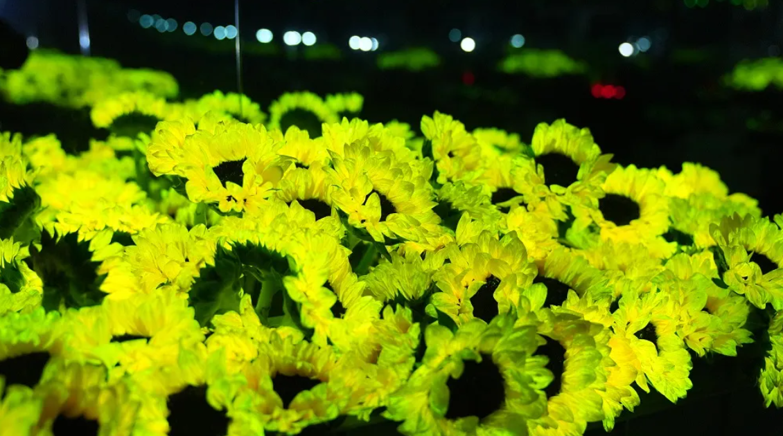 一等奖！神笔生物“星萤夜花”绽放中国国际大学生创新大赛！