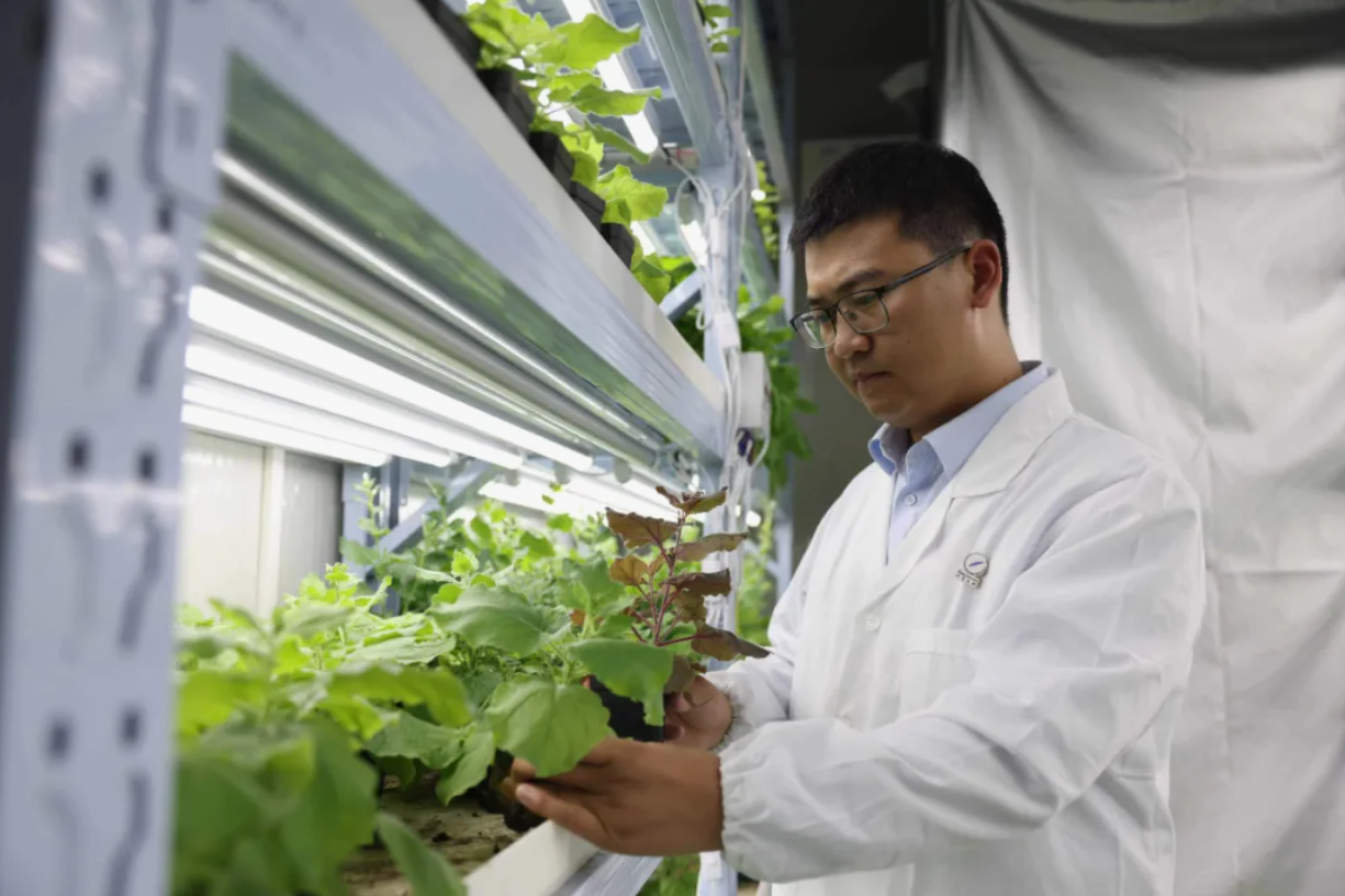 当博士“不务正业”，决定去种一株会发光的植物