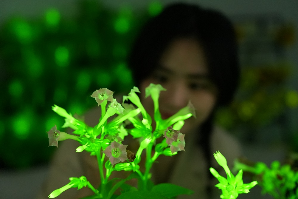 DSC03098.JPG DSC03098.JPG